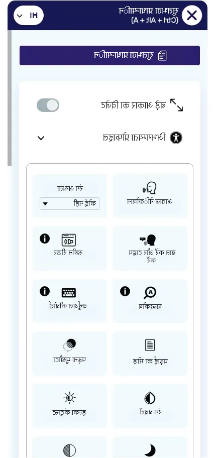 hindi website accessibility widget