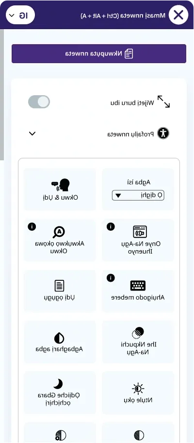 igbo accessibility toolbar