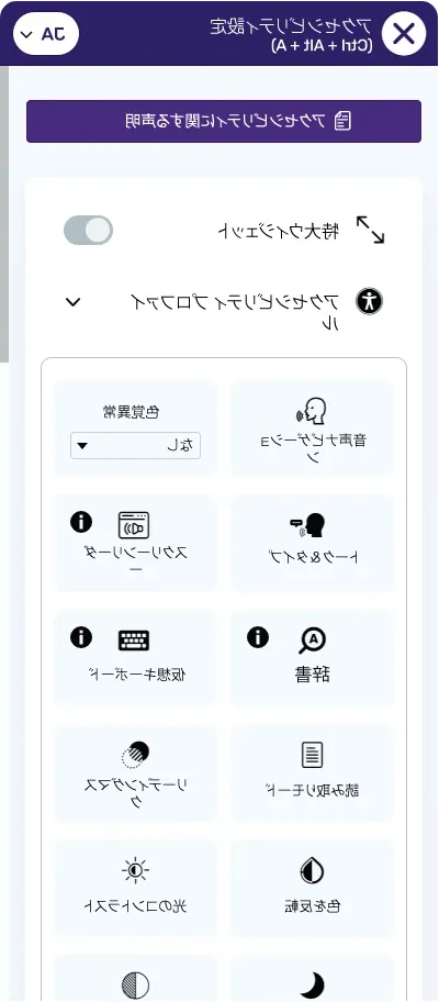 Japanese web ADA solution