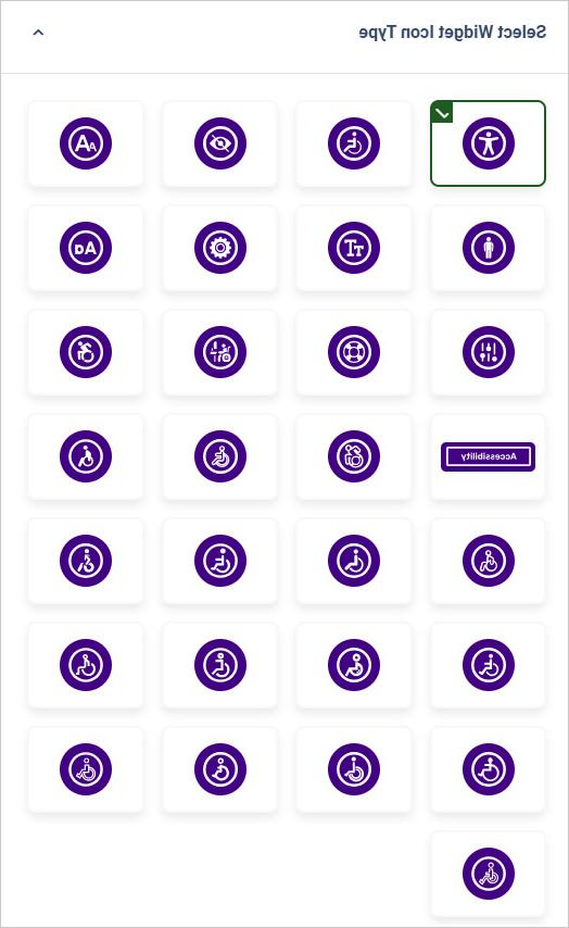 website accessibility widget icon Type