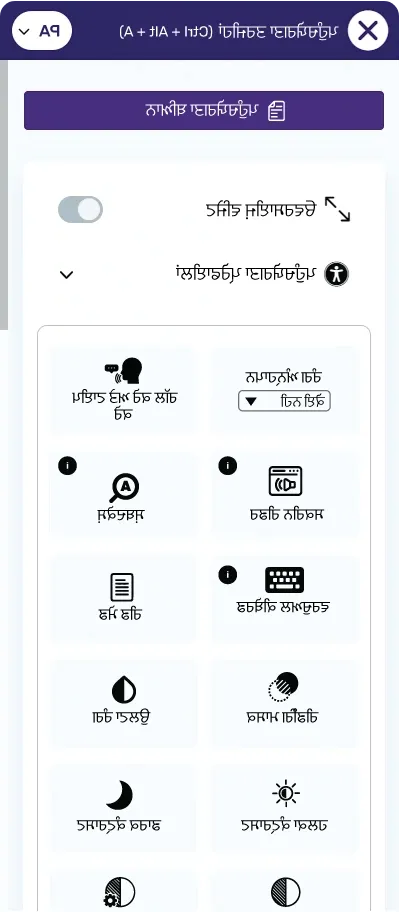 punjabi website accessibility widget