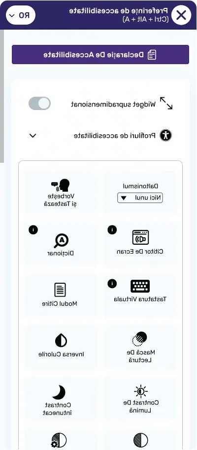 romanian accessibility toolbar