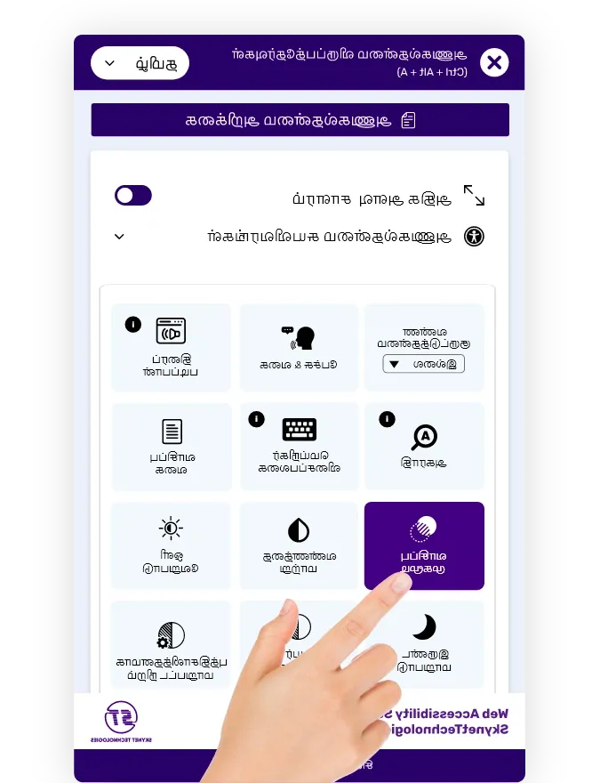 Tamil website accessibility solution