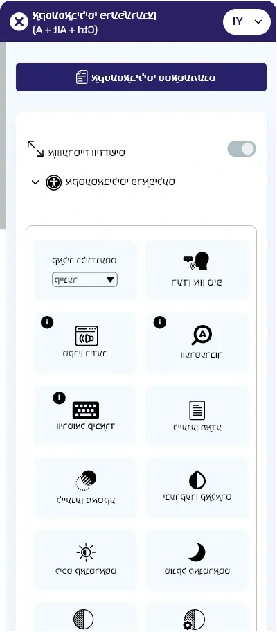 yiddish-accessibilitytoolbar.webp