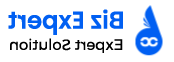 bizexport theme logo