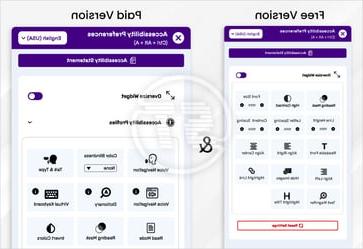 All in One Accessibility free widget to paid version